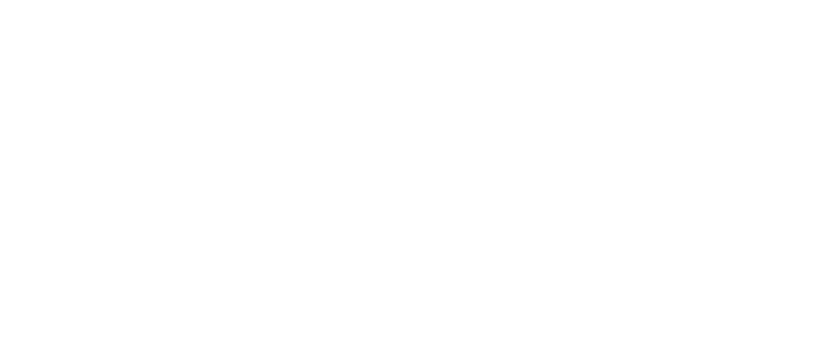 Bunny Boom